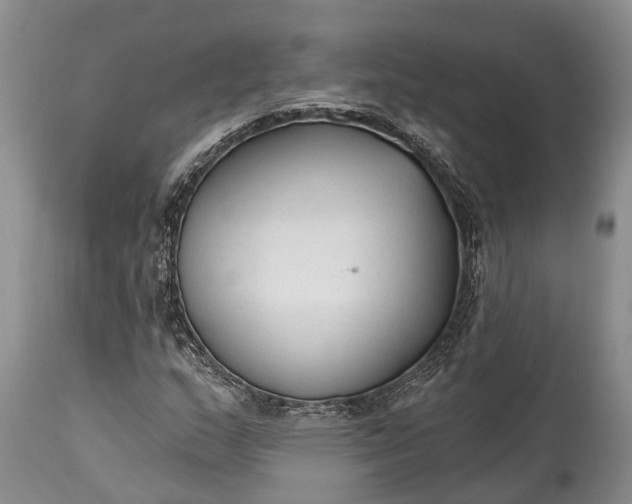 X0000114991159200911091328