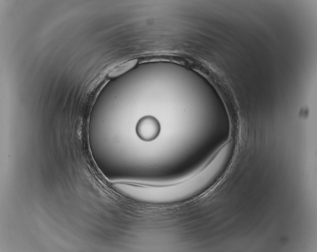 X0000114991161200911091328