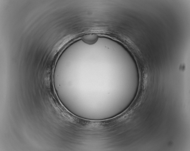 X0000114991162200911091328