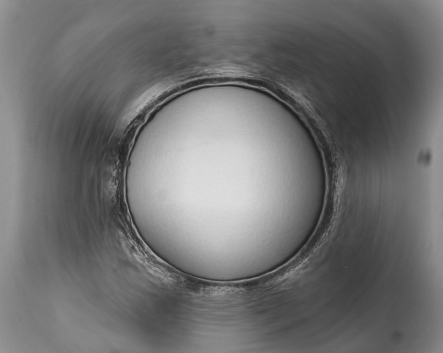 X0000114991163200911091328