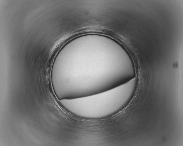 X0000114991164200911091328