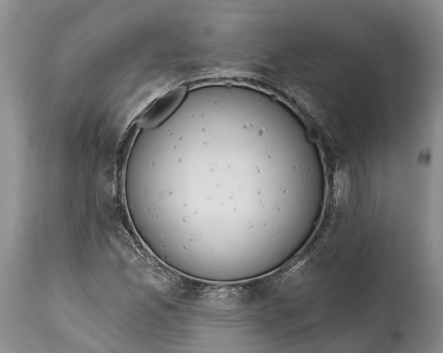 X0000114991165200911091328