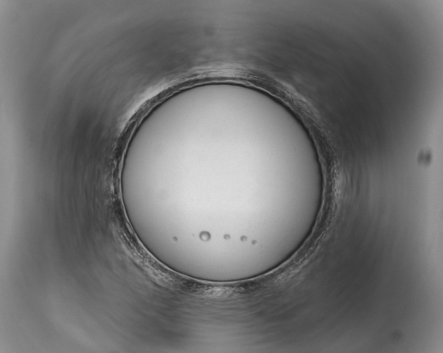 X0000114991166200911091328