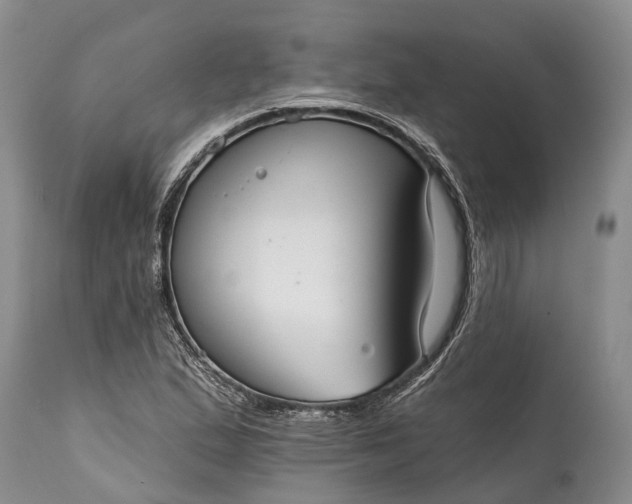 X0000114991167200911091328