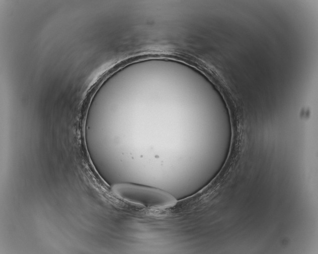 X0000114991168200911091328