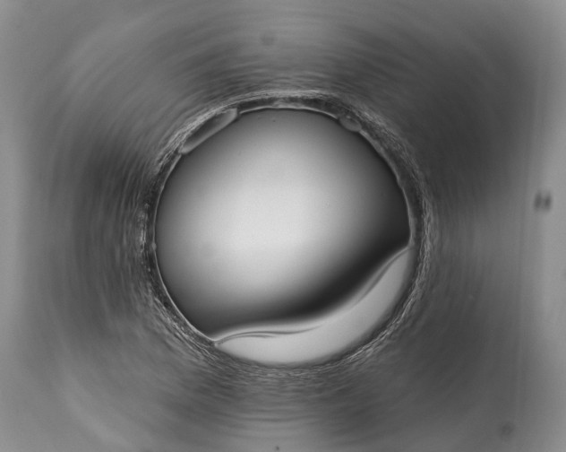 X0000114991169200911091328
