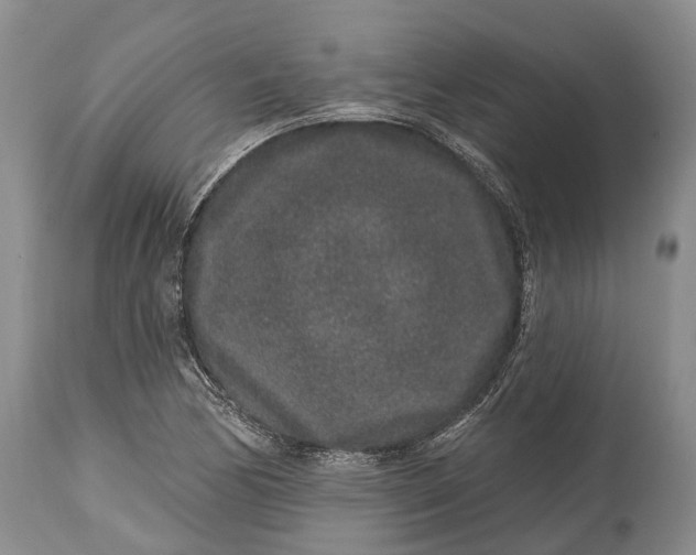 X0000114991170200911091328