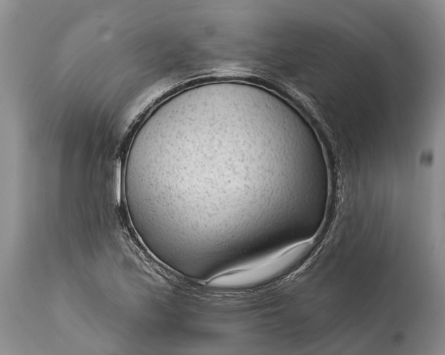 X0000114991171200911091328