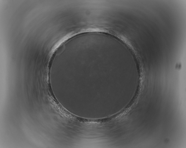 X0000114991173200911091328