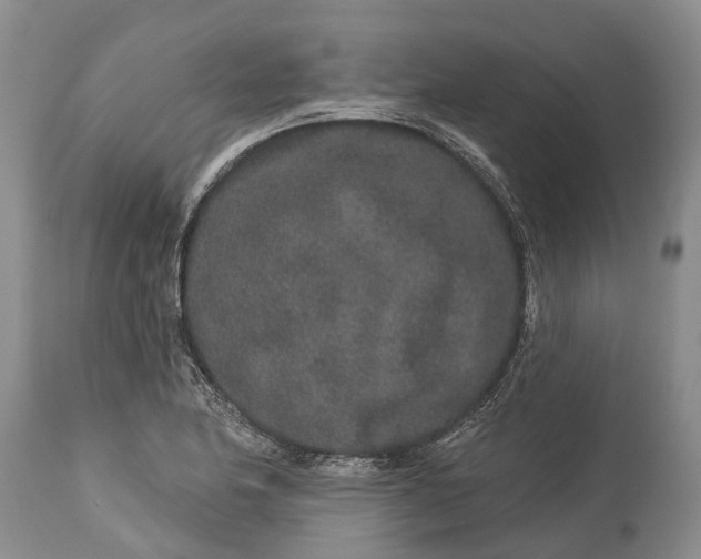 X0000114991174200911091328