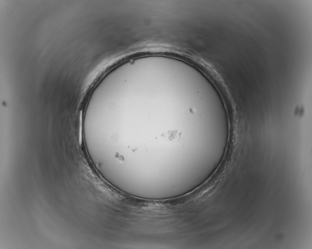 X0000114991175200911091328