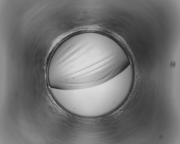 X0000114991176200911091328