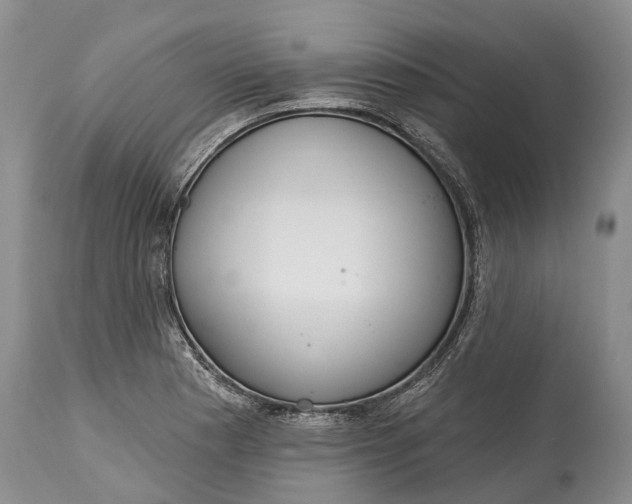 X0000114991177200911091328
