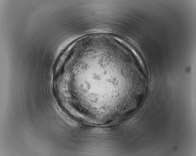 X0000114991179200911091328