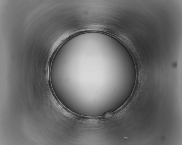 X0000114991180200911091328