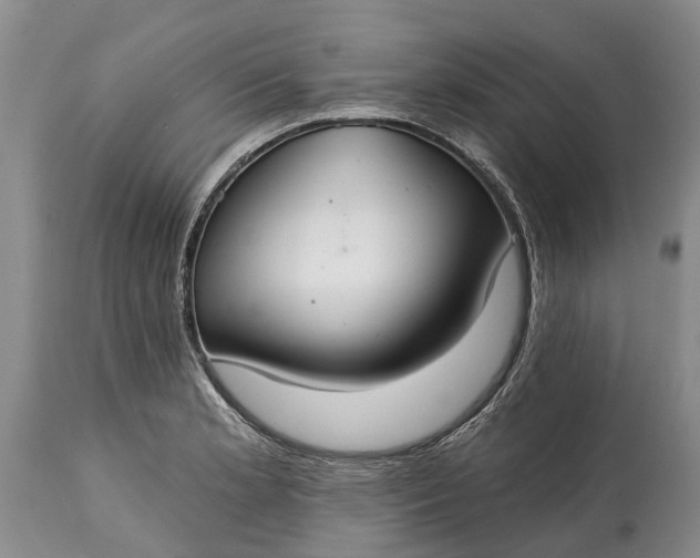 X0000114991181200911091328