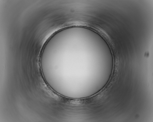 X0000114991182200911091328