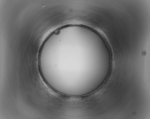 X0000114991183200911091328