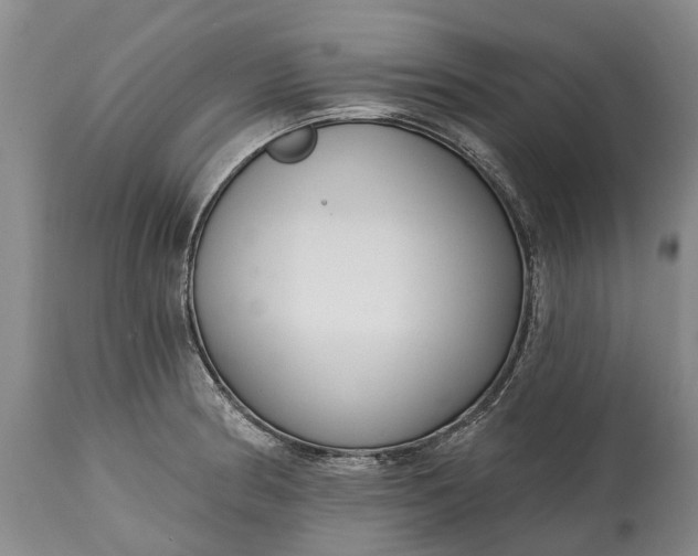 X0000114991186200911091328