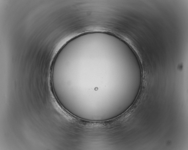 X0000114991187200911091327