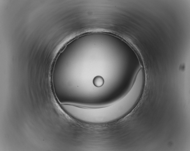 X0000114991189200911091327