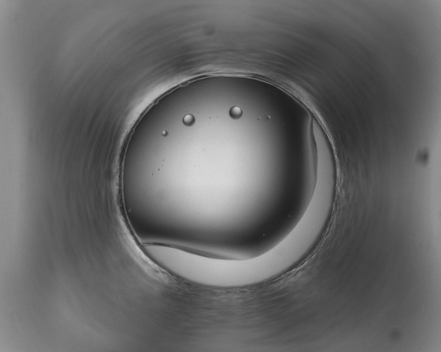 X0000114991195200911091327
