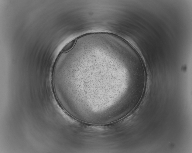 X0000114991197200911091327