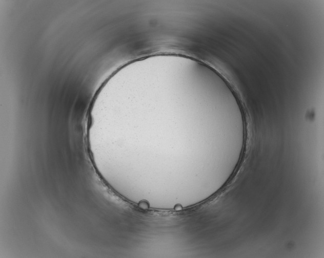 X0000114991198200911091327