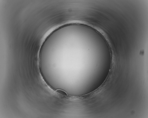 X0000114991199200911091327