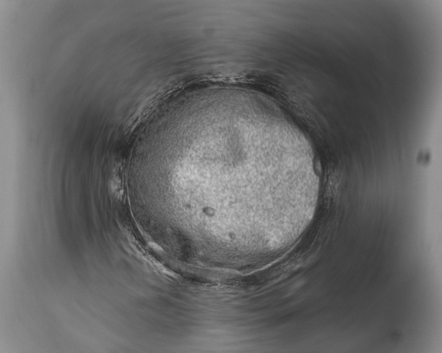 X0000114991202200911091327