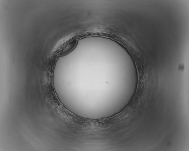 X0000114991207200911091327