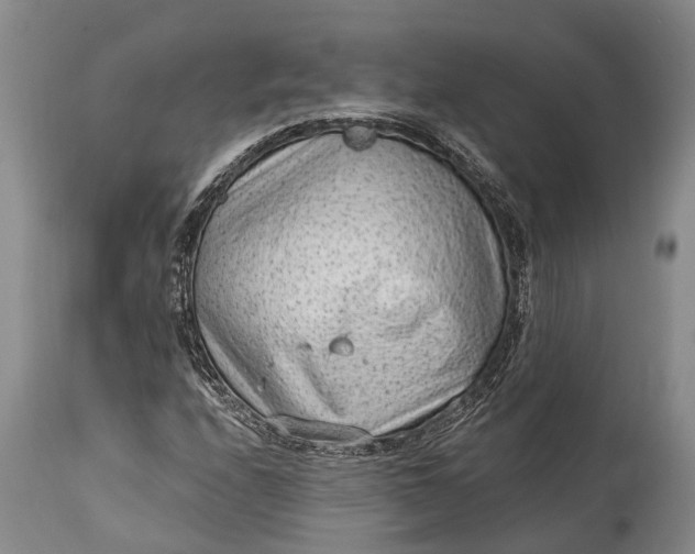 X0000114991208200911091327