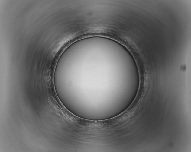 X0000114991210200911091327