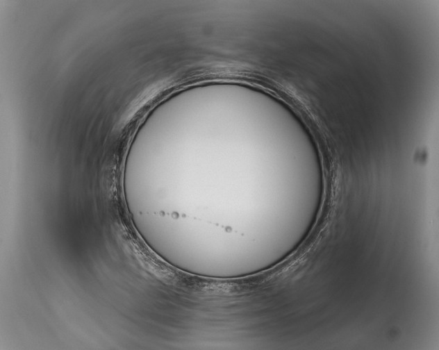 X0000114991211200911091327