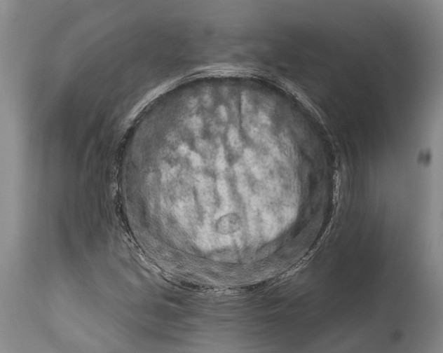 X0000114991213200911091327