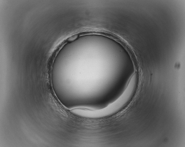 X0000114991215200911091327