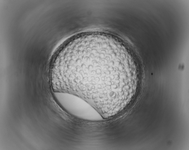X0000114991216200911091327