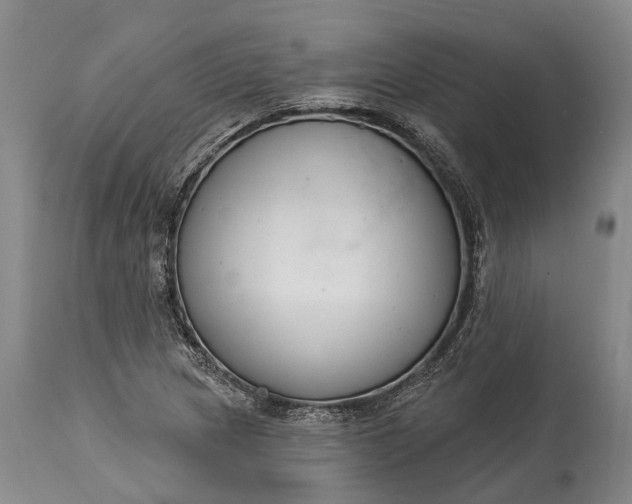 X0000114991217200911091327