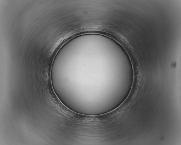 X0000114991218200911091327