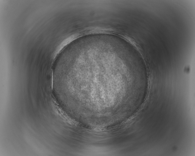 X0000114991219200911091327