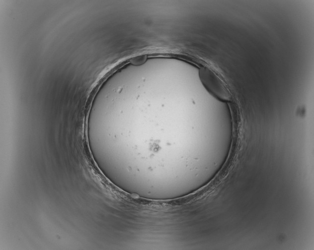 X0000114991220200911091327
