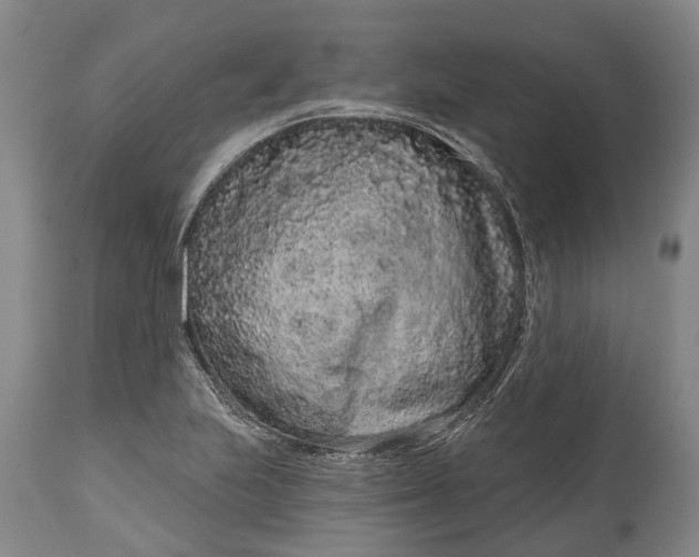 X0000114991223200911091327