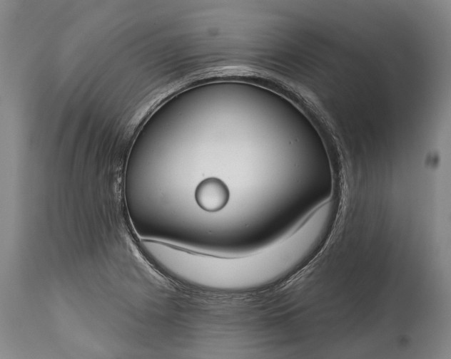 X0000114991225200911091327