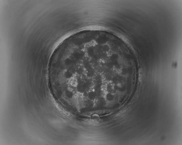 X0000114991229200911091327
