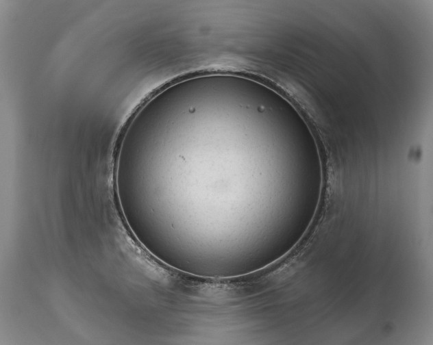 X0000114991232200911091327