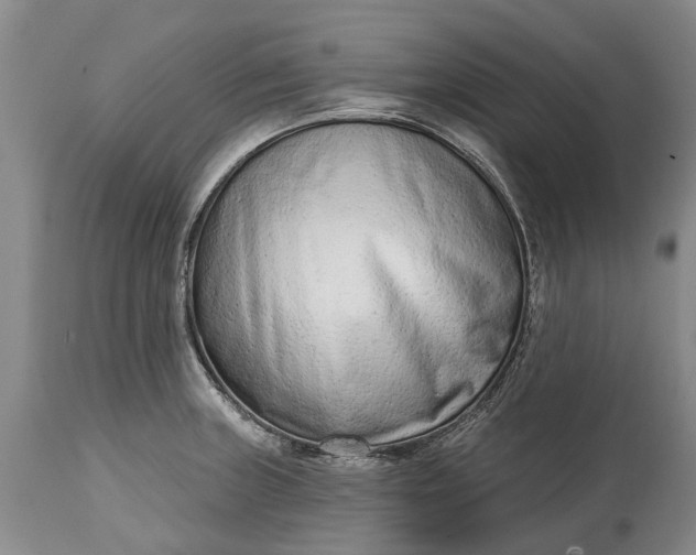 X0000114991235200911091327