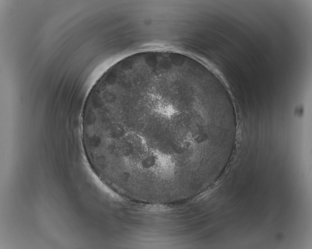 X0000114991239200911091327