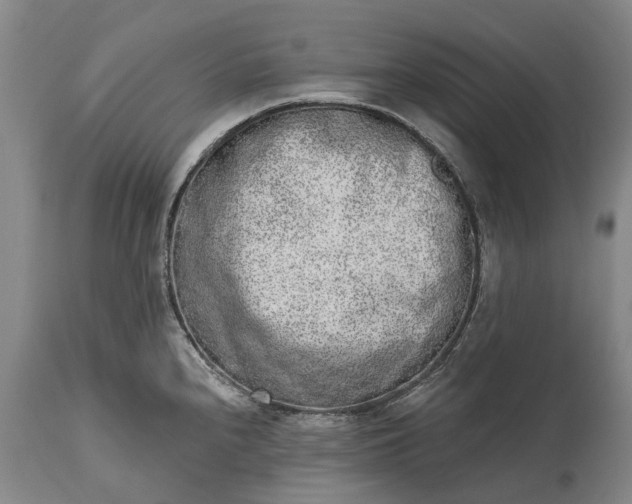 X0000114991240200911091327