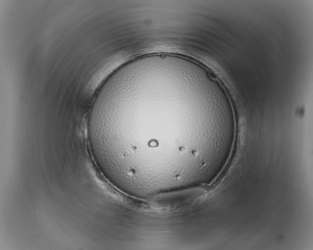 X0000114991241200911091327