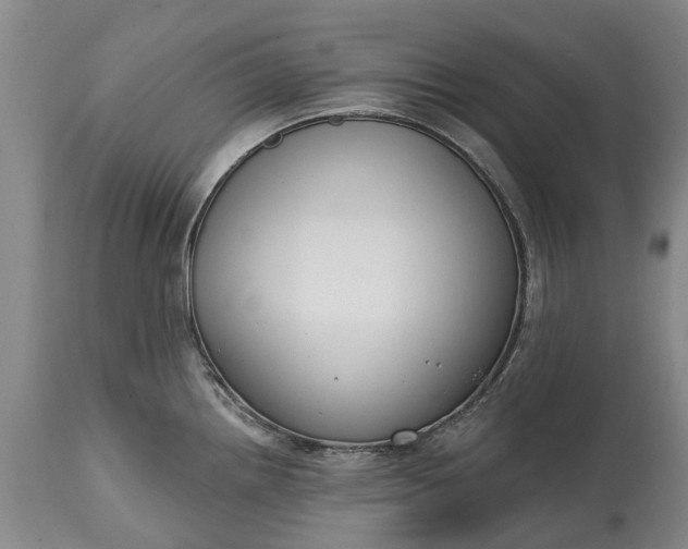 X0000114991242200911091327